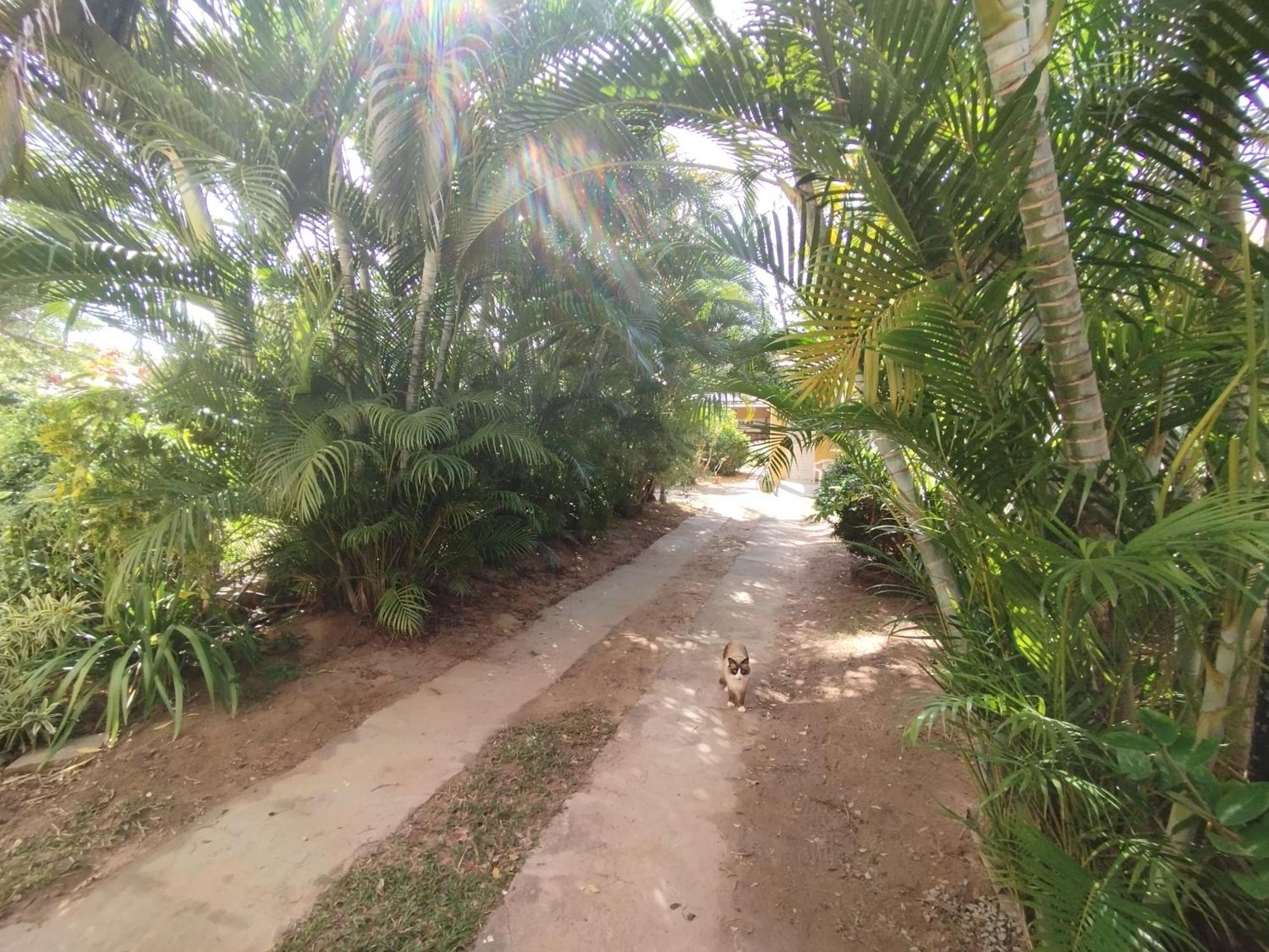 Lumiar Garden Suites E Chales Em Vilas Do Atlantico Lauro de Freitas Exterior foto